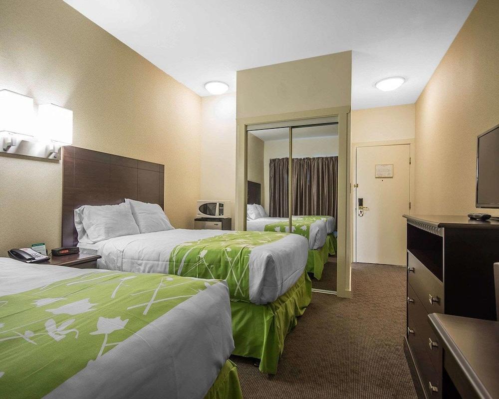 6 Surrey, Bc