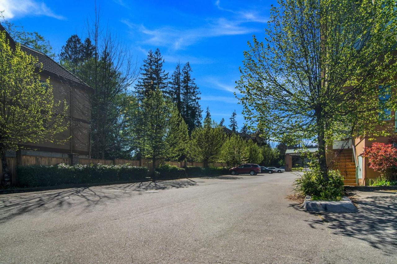 6 Surrey, Bc Hotel
