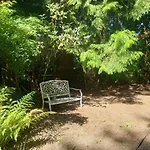 Cedar Pond