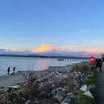 Lux White Rock Pool House Beachfront Resort Like