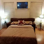 F5 Comfortable Sofa Double Bed In Open Living Room With Partitions