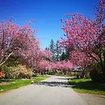 White Rock Pacific