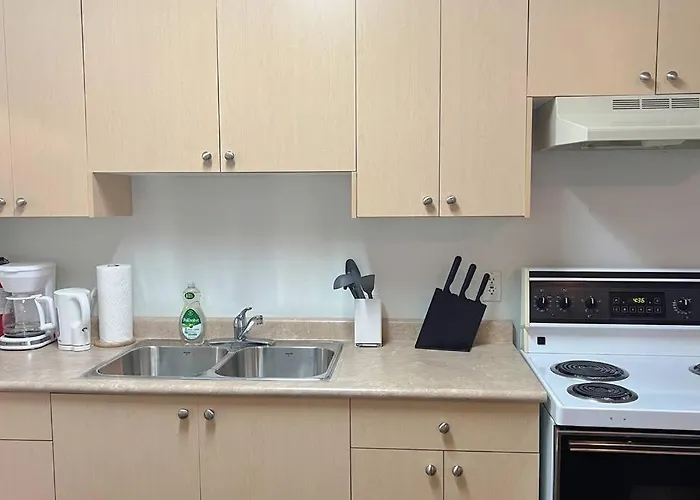 Ground Lvl Entire Guest Suite W/ Private Entrance