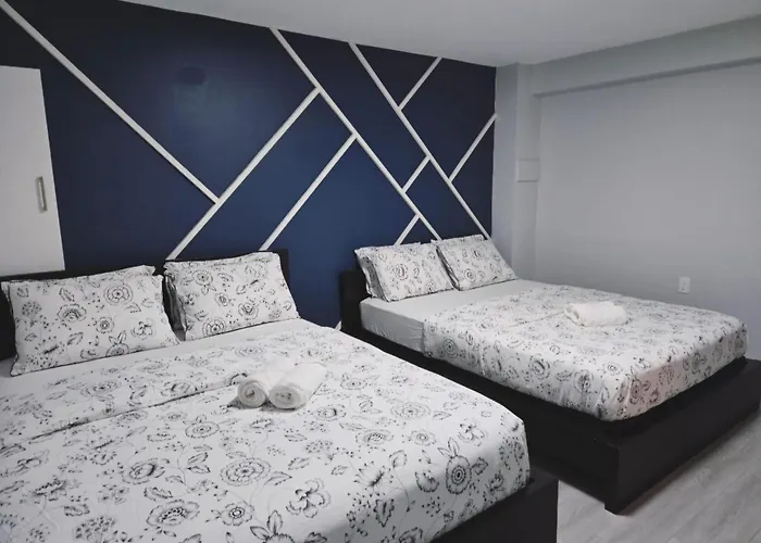 A New Luxury Basement Apartment