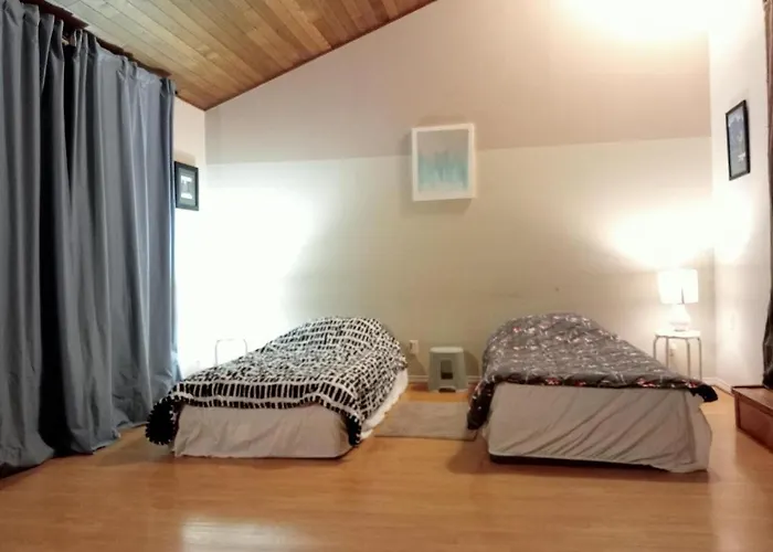 Comfortable Bed In Shared Open & Spacious Room- 39 Cad Only