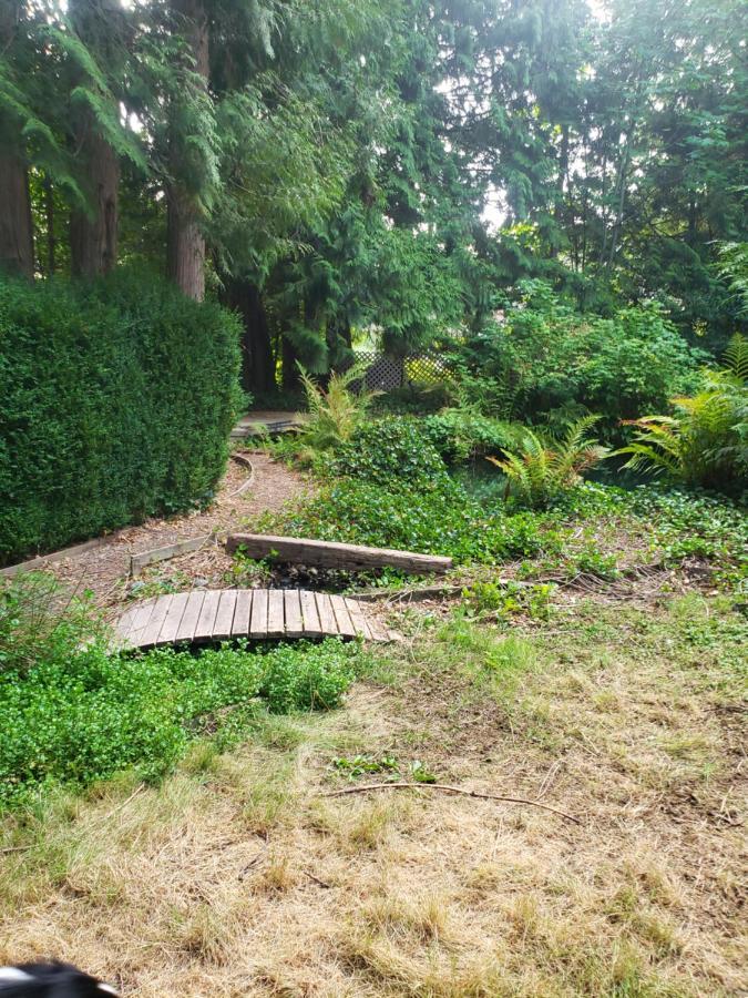 Guest house Cedar Pond Surrey