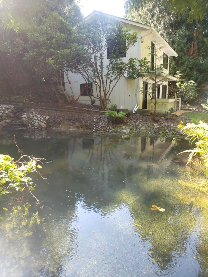 Cedar Pond *