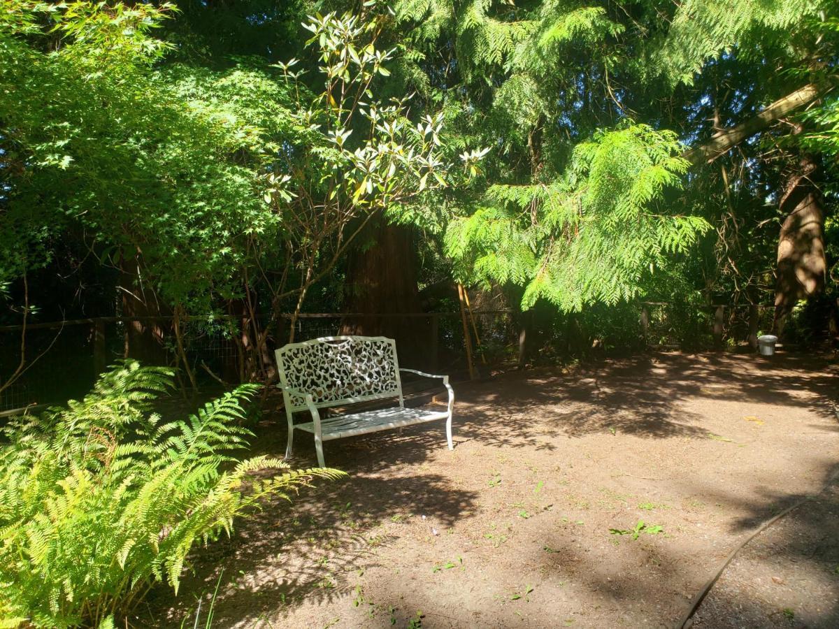 Cedar Pond Guest house Surrey