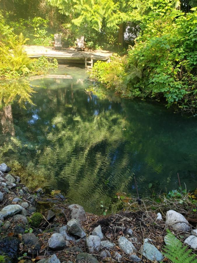 Cedar Pond Surrey