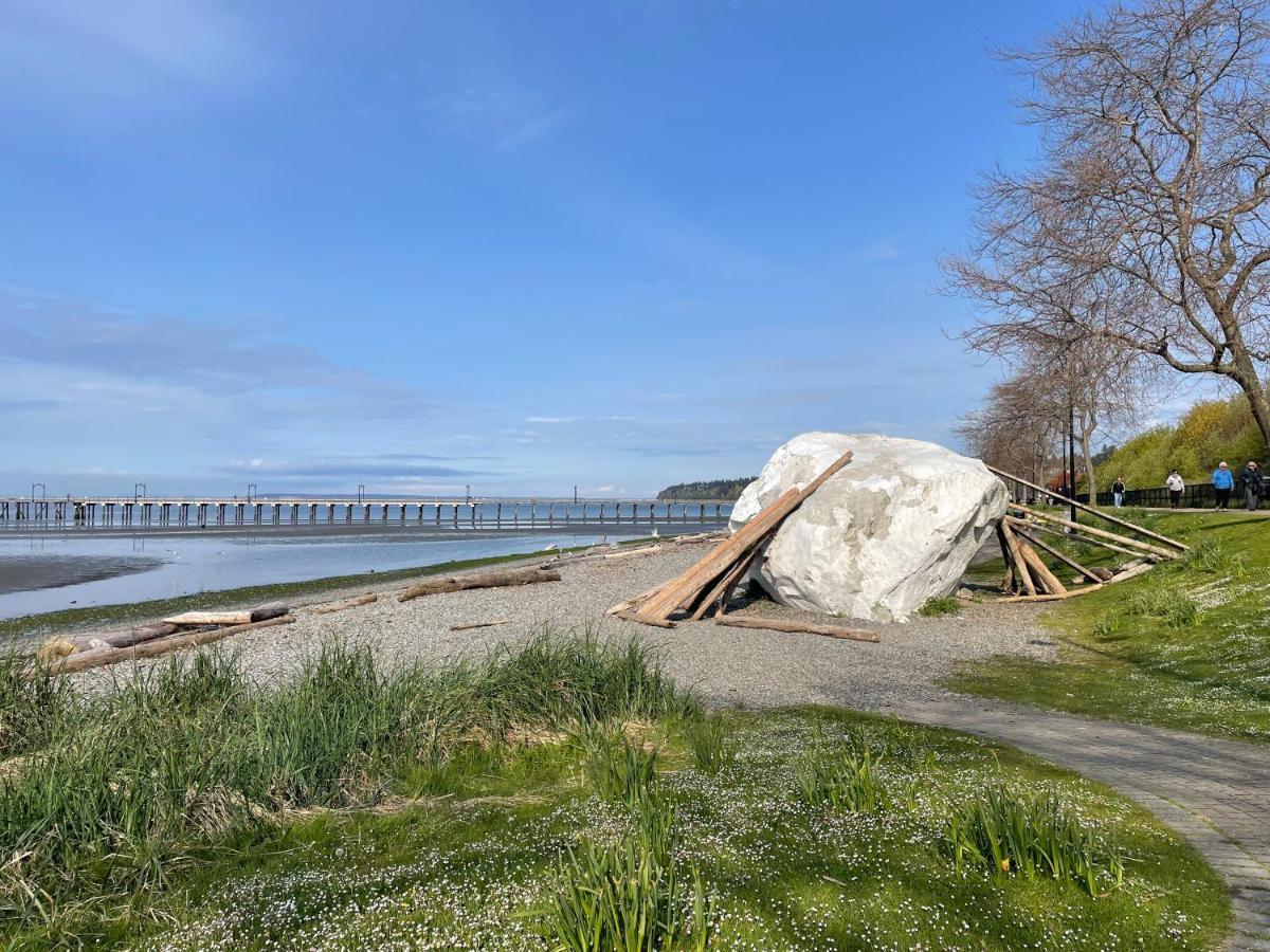 Lux White Rock Pool House Beachfront Like Surrey