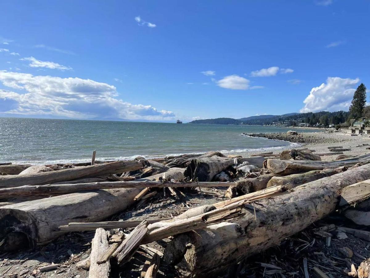 Villa Lux White Rock Pool House Beachfront Like Surrey