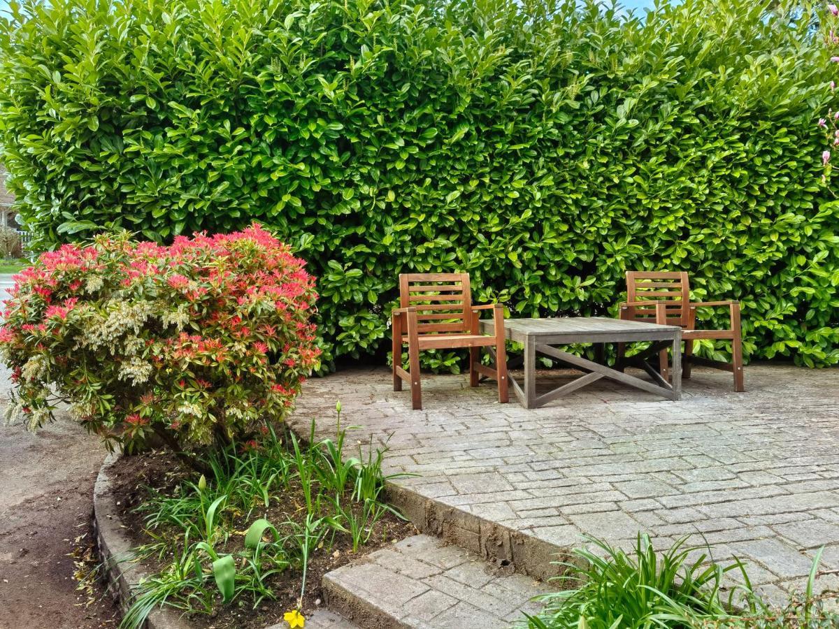 Homestay Happy-go-lucky White Rock Surrey