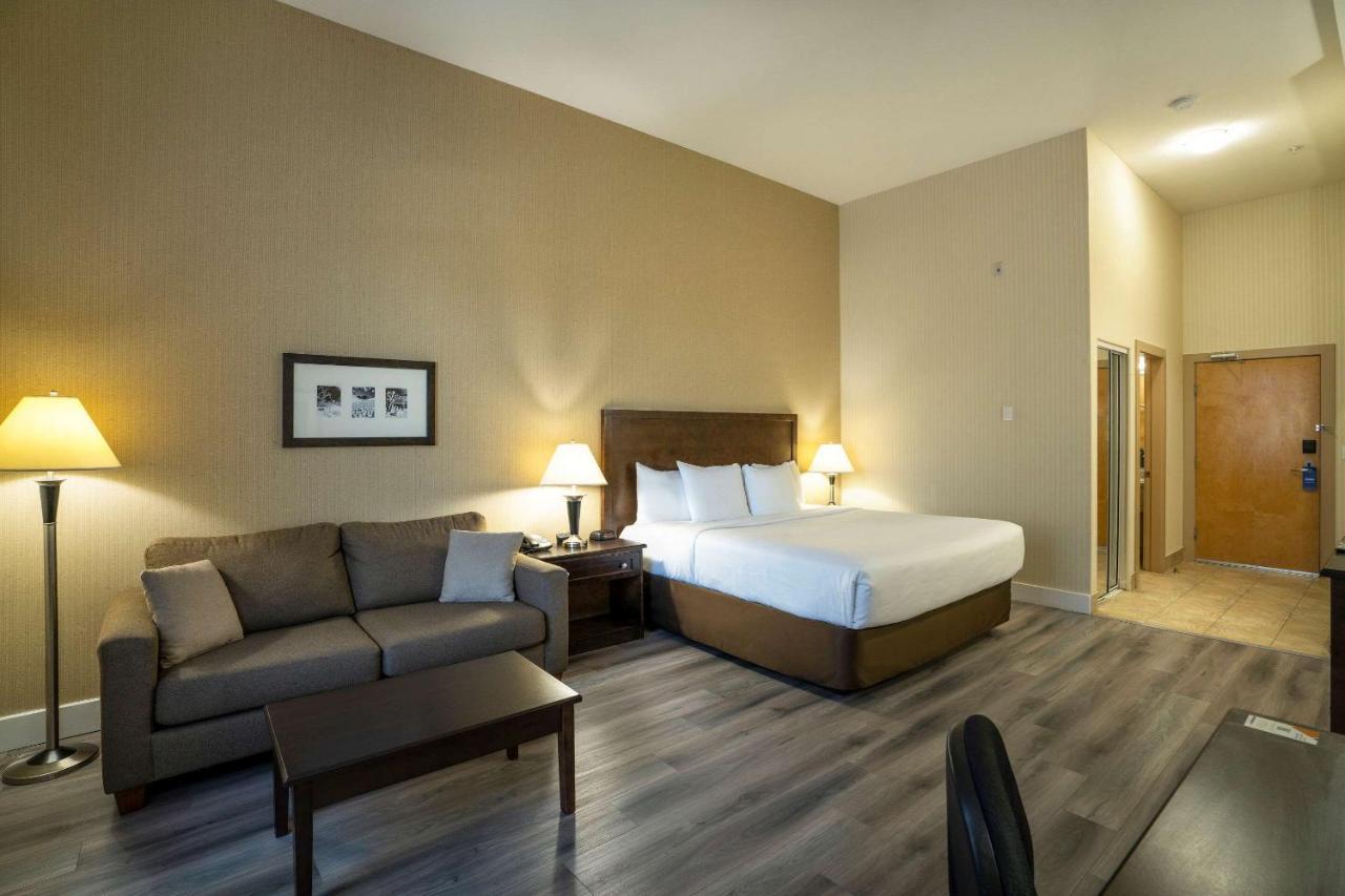 Comfort & Hotel
