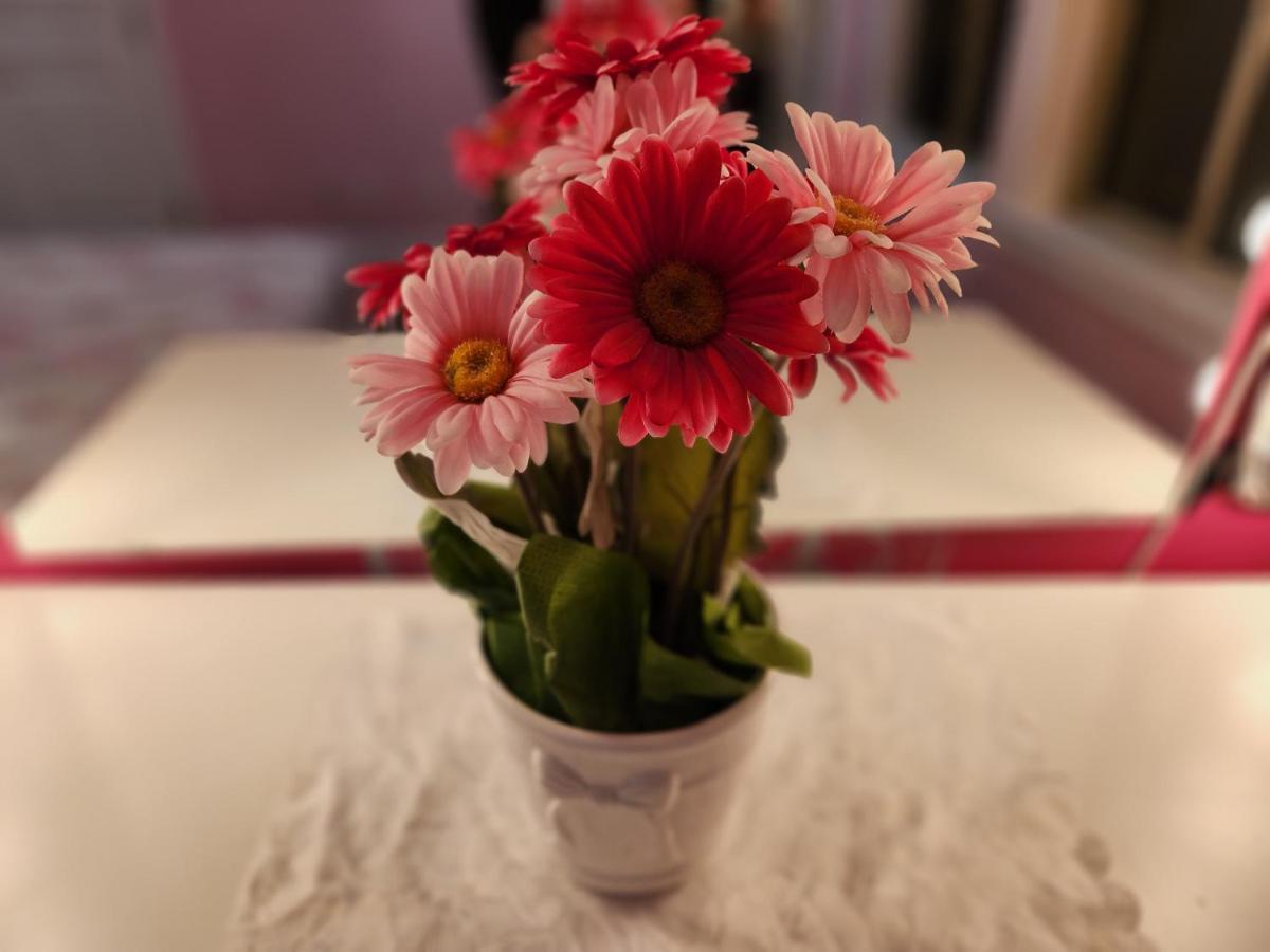 Empress Stays Homestay Surrey