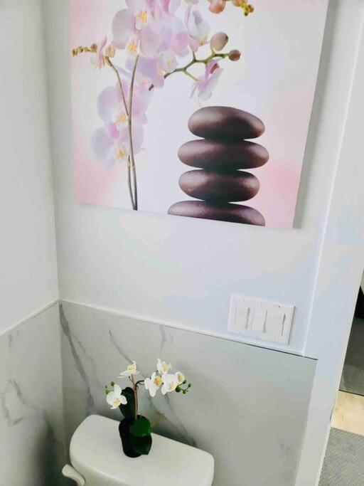 Beautiful 1 Bedrm & Kitchen Near Vancouver. Apartment *