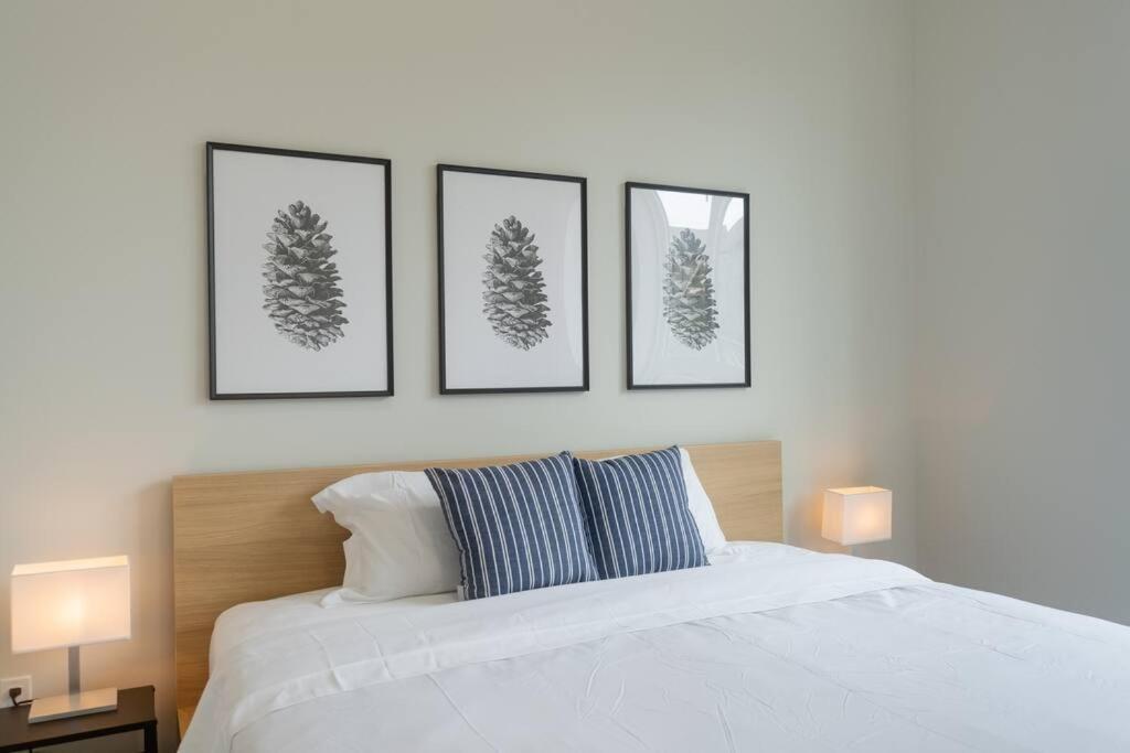 Apartment Modern Ground Level 3 Bed 2 Bath With Free Parking *
