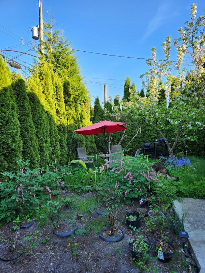 Chic 2 Bdrm Basement Unit Surrey