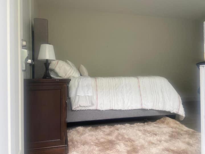 Spacious To In Guest house
