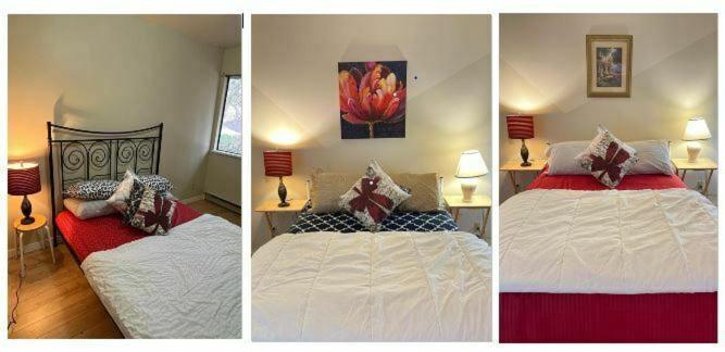 Beautiful & Cozy In Great Location