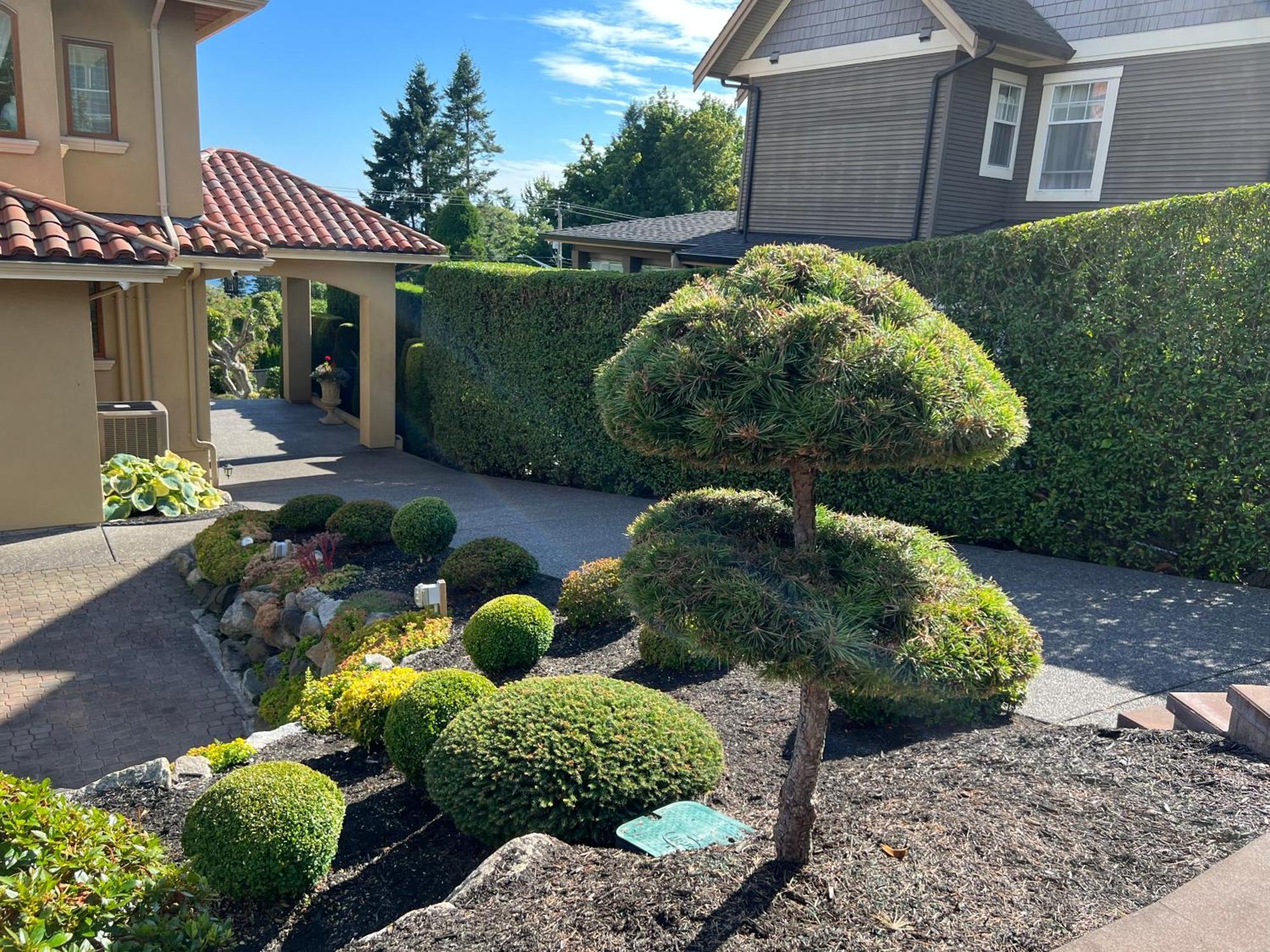 相约白石white Rock Homestay