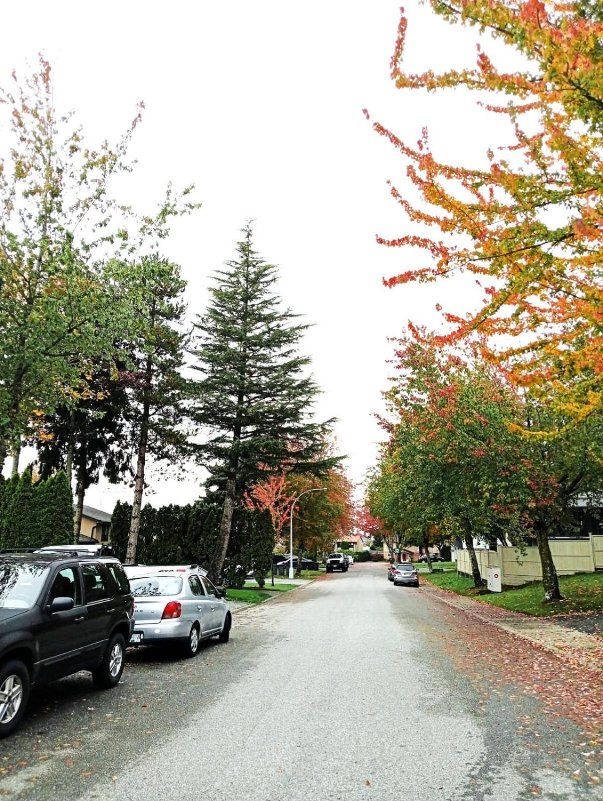 C4 Beautiful Comfy & Relaxed Private In Walkout Basement In A Great Location *