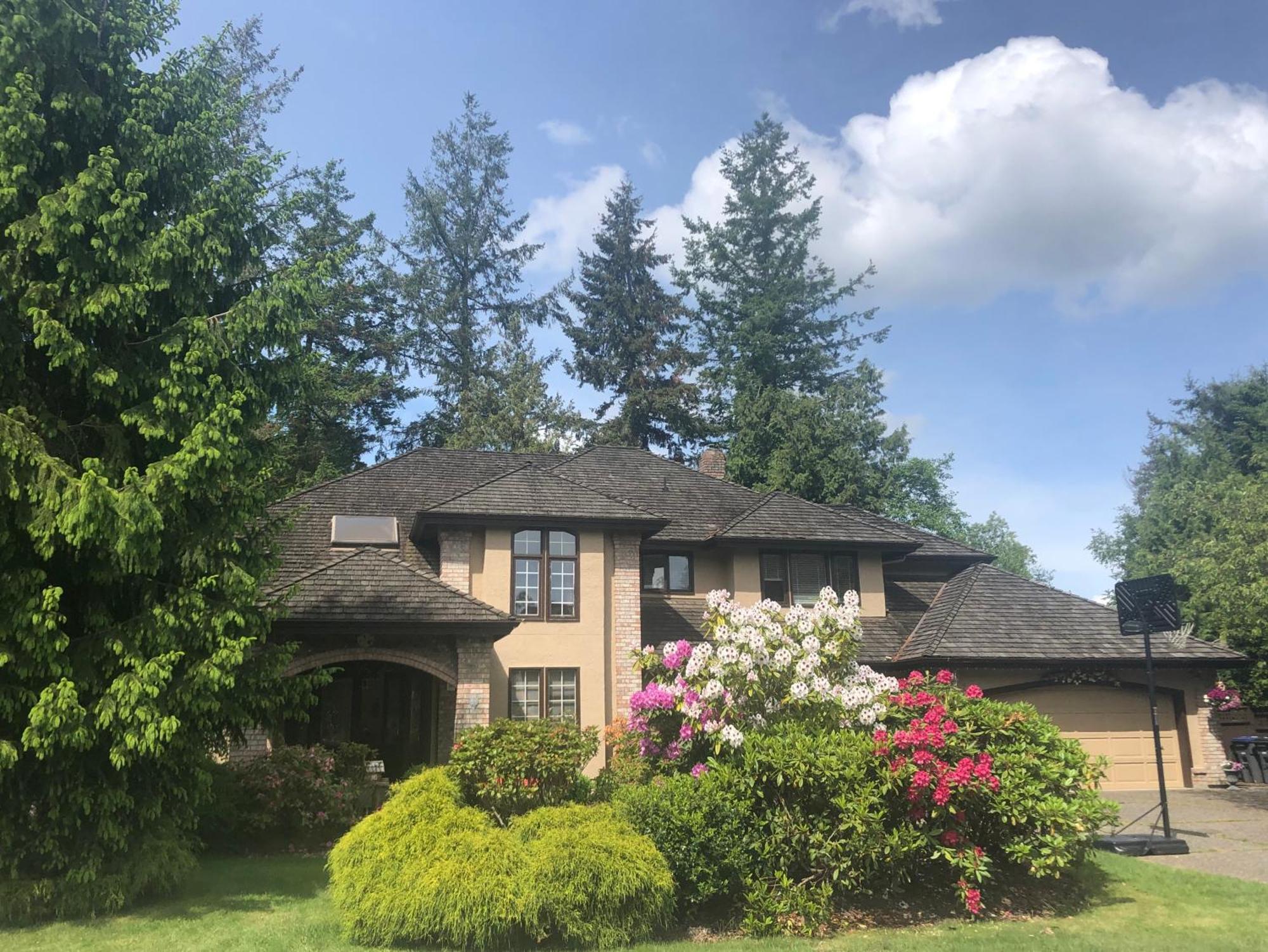Elgin Bliss - White Rock * Surrey
