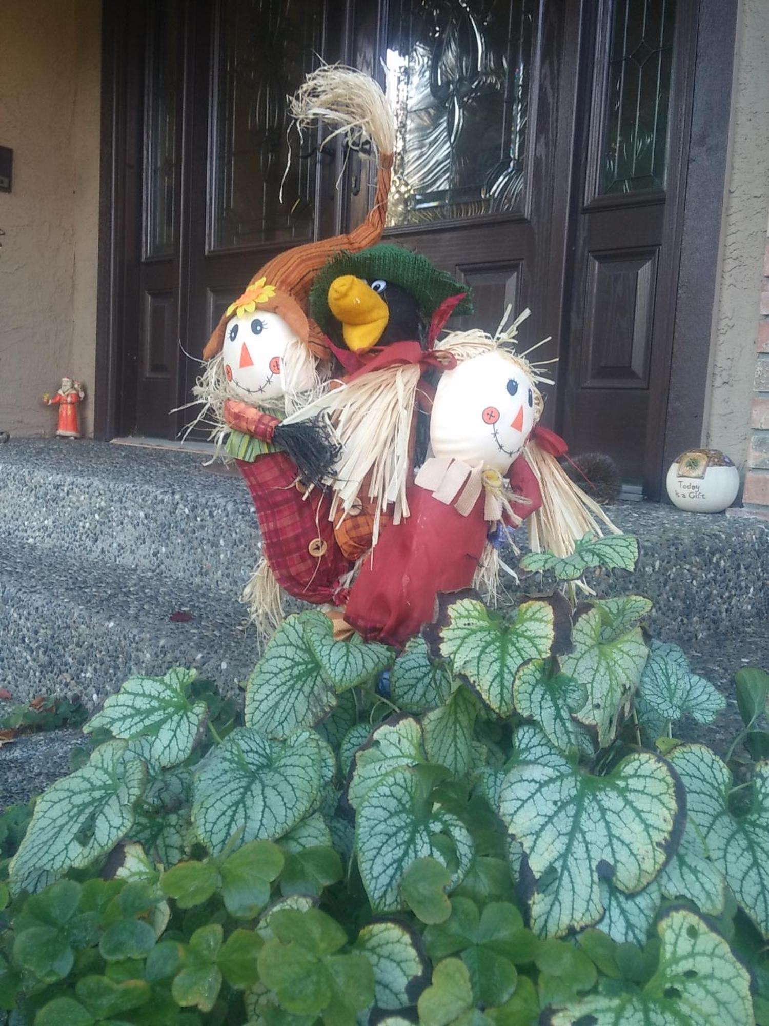 Elgin Bliss - White Rock Homestay Surrey
