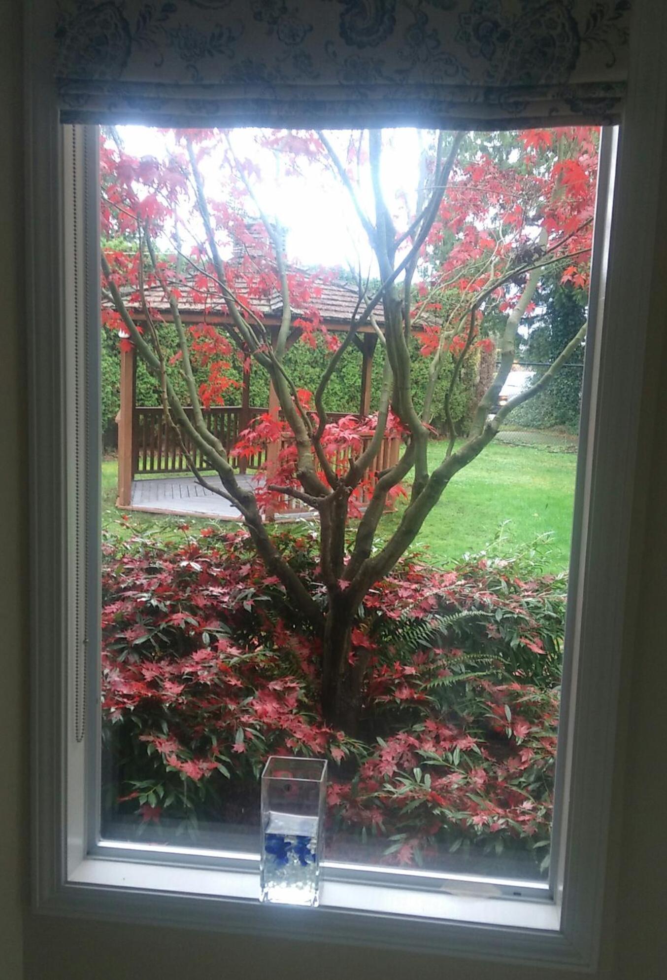 Homestay Elgin Bliss - White Rock *