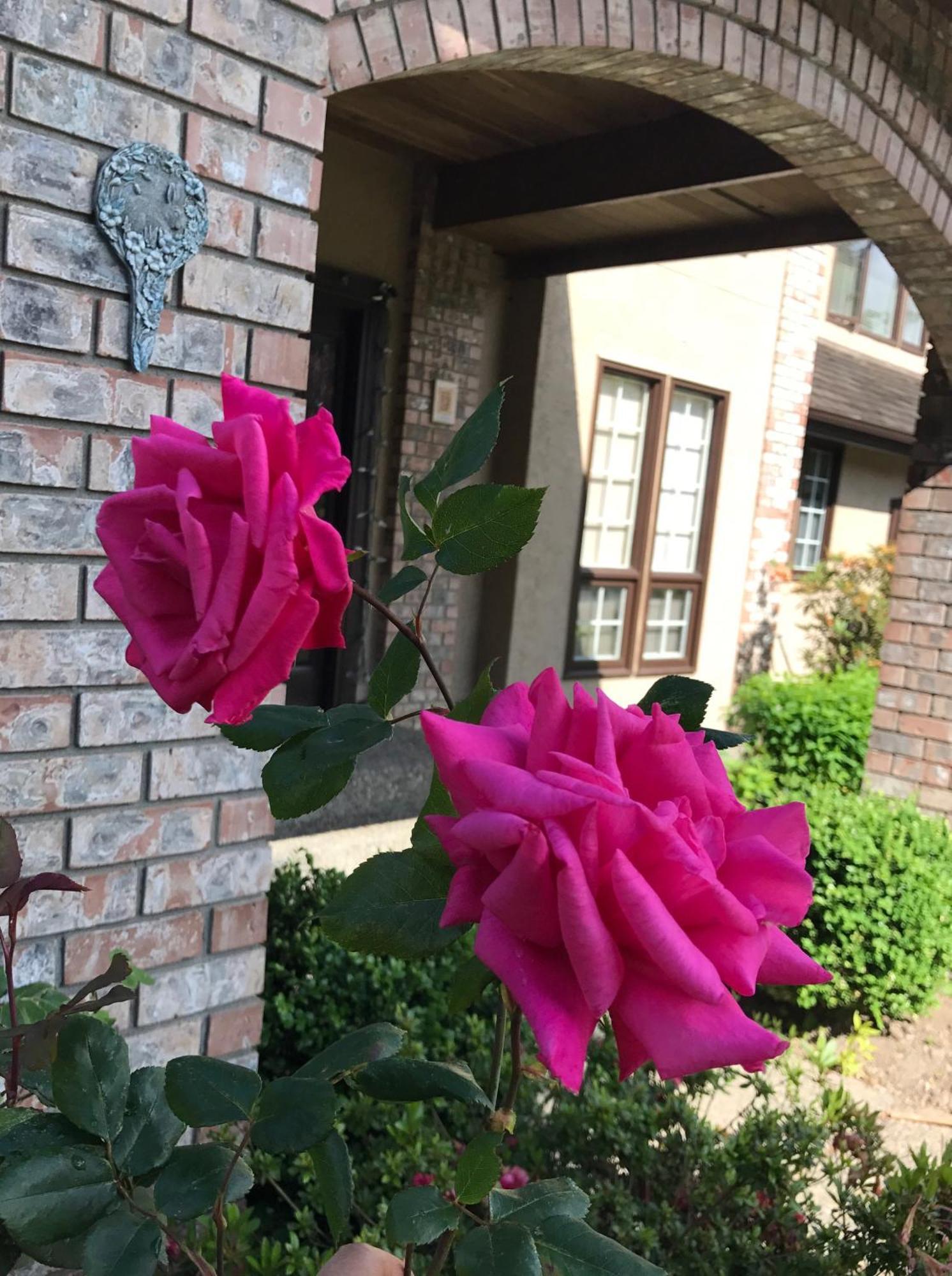 Elgin Bliss - White Rock Homestay Surrey