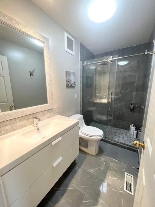 Apartment Spacious Charming Entire House In A Calming Neighborhood *