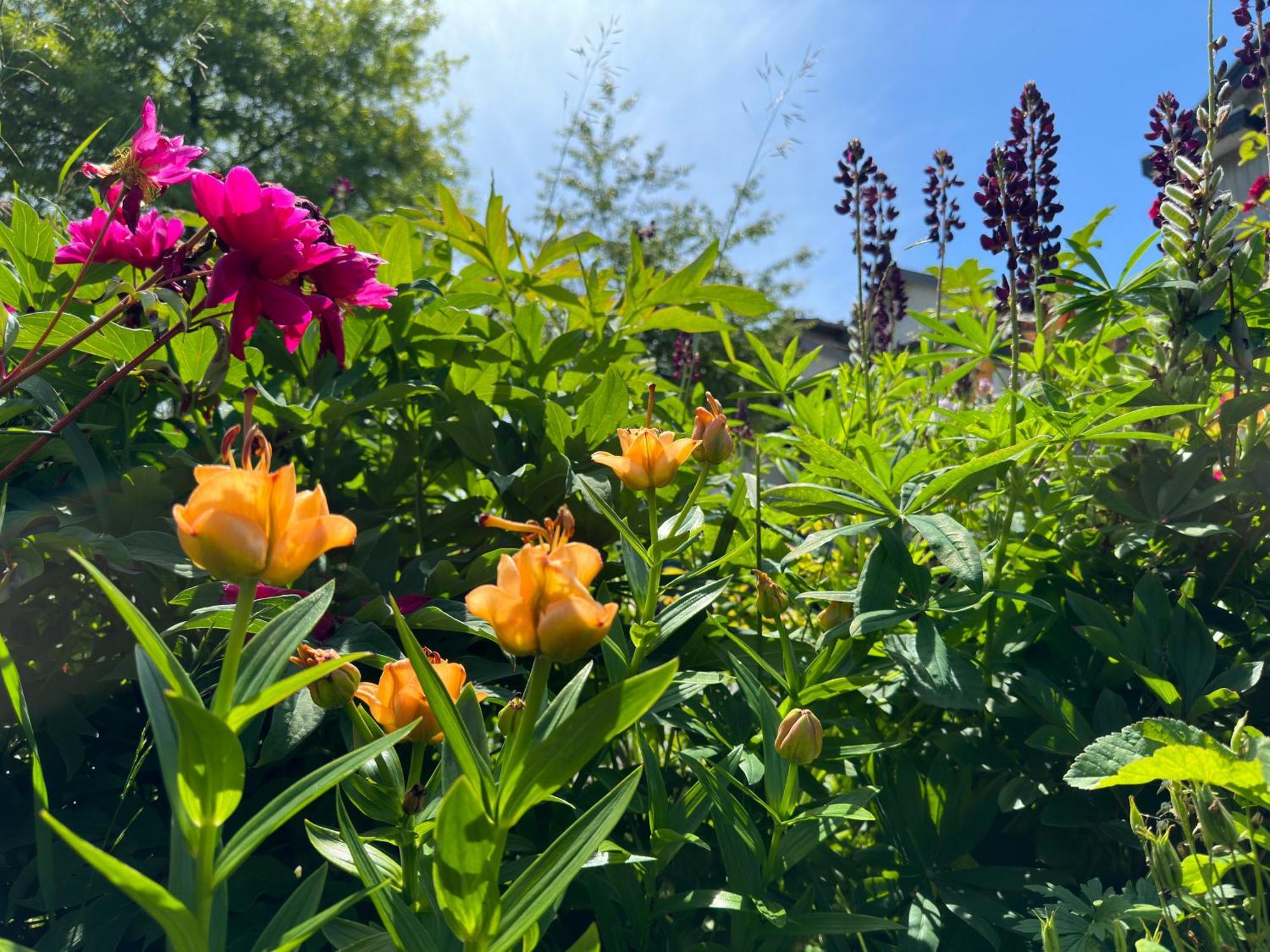 Jane's Private With Shared Washroom Homestay Surrey