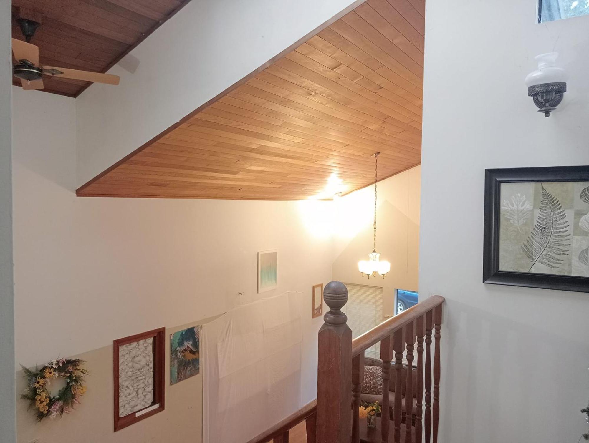 Comfortable Bed In Shared Open & Spacious Room- 39 Cad Only Homestay *