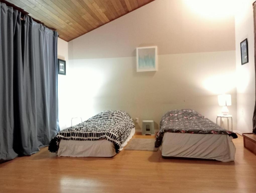 Comfortable Bed In Shared Open & Spacious Room- 39 Cad Only