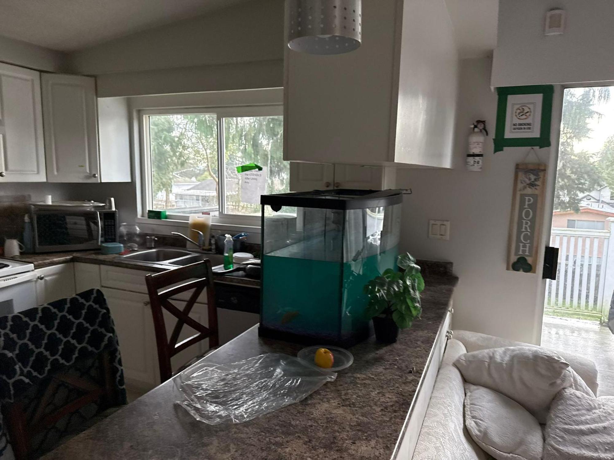 Deluxe Family Large Quadruple Guest house Surrey