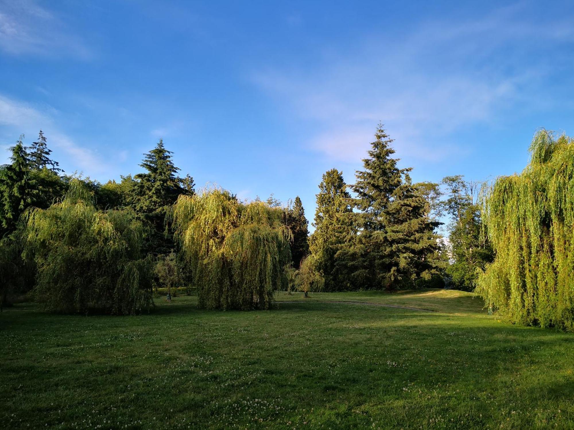 Entire Forest Near Nature & Amenities Surrey
