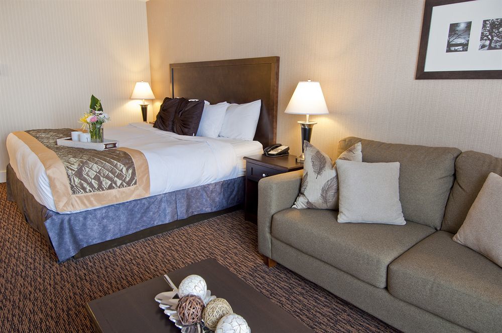 Hotel Comfort & 3*