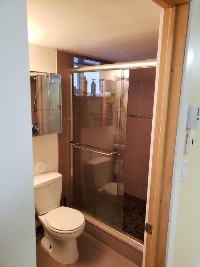 Chic 2 Bdrm Basement Unit Apartment