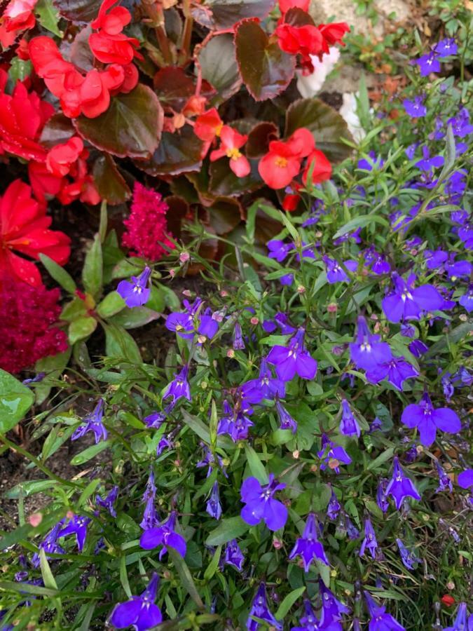 Hospedagem domiciliar Cozy Beach Garden *