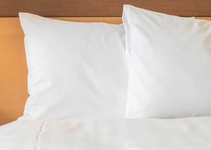 Holiday Inn Express And Suites Surrey By Ihg