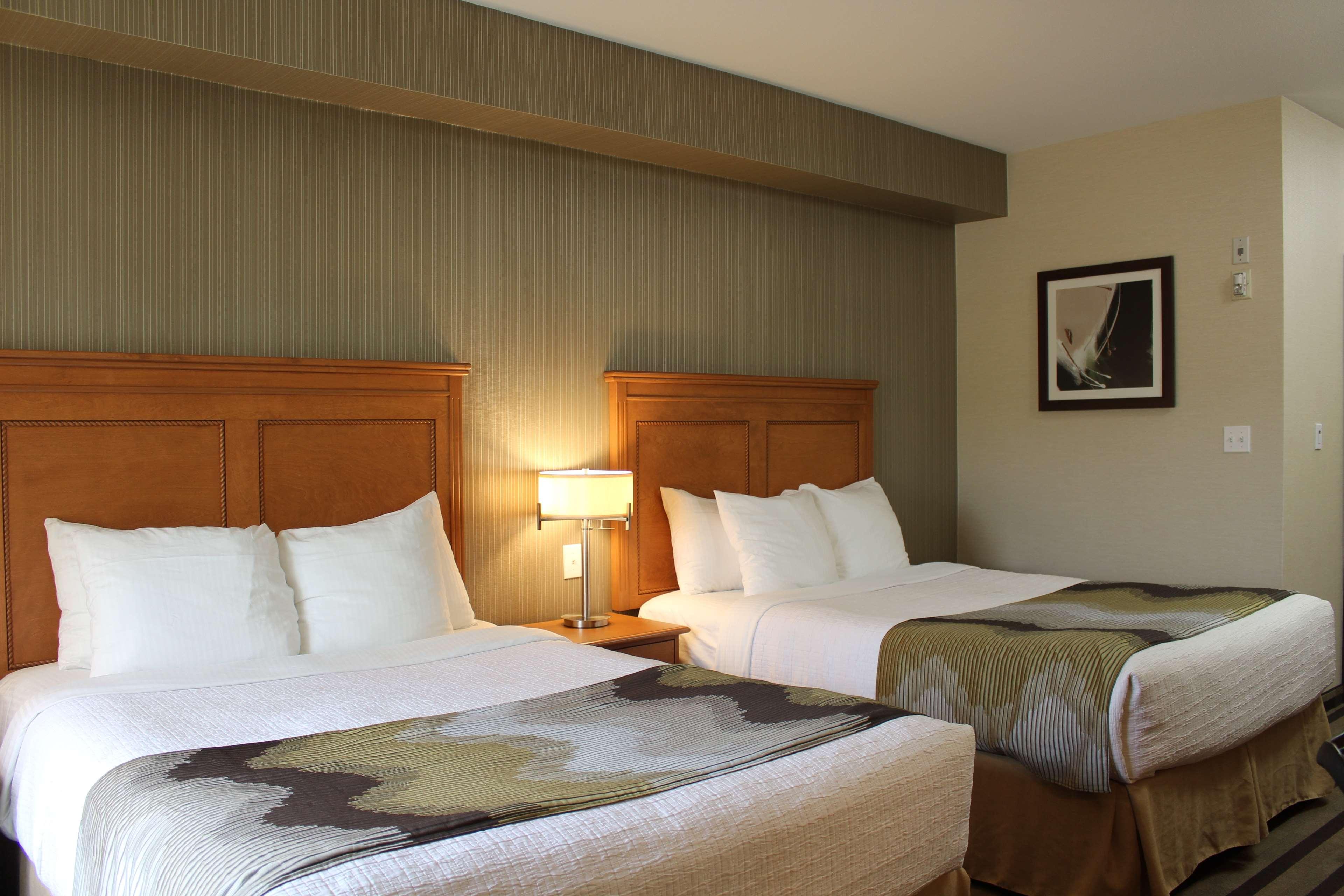 Western King George & 3* Surrey