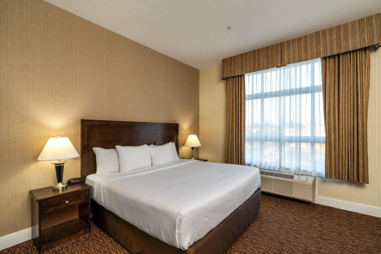 Comfort & Hotel 3*