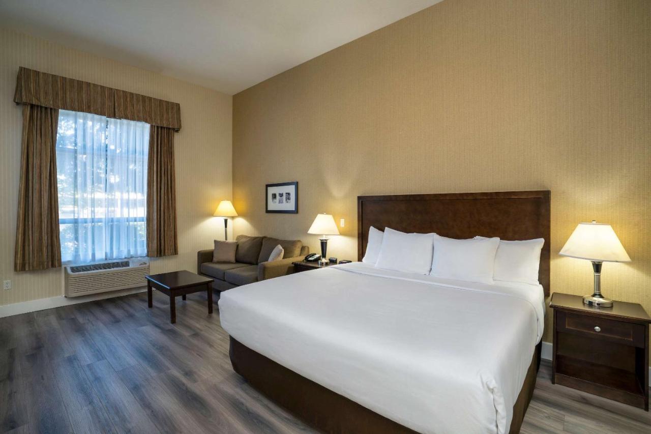 Hotel Comfort & 3*