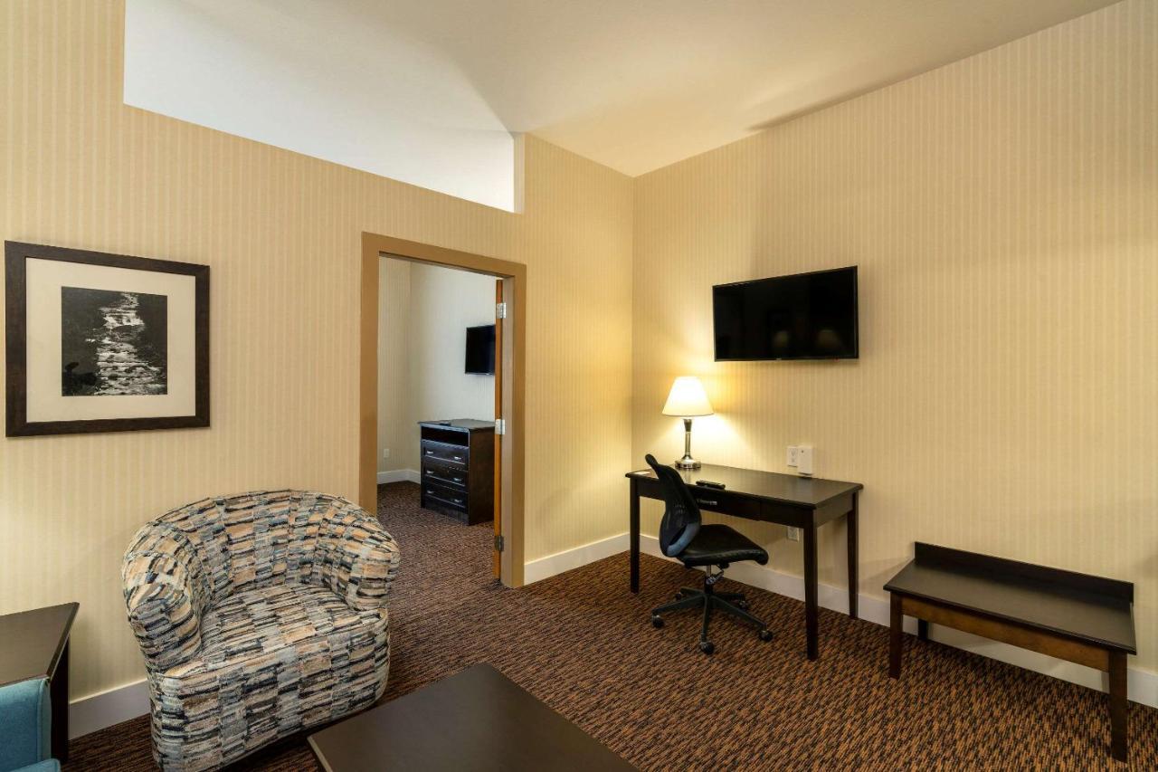 Comfort & Hotel