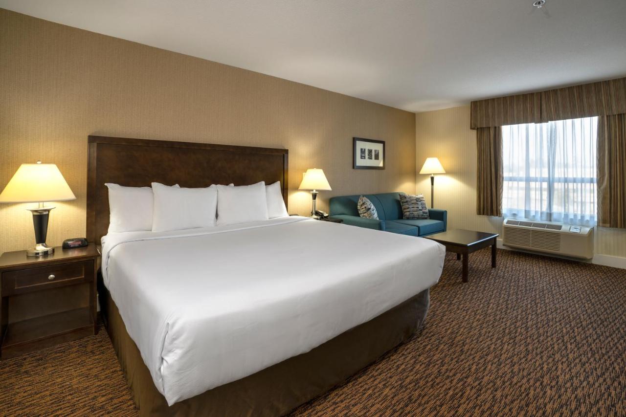 Comfort & Hotel