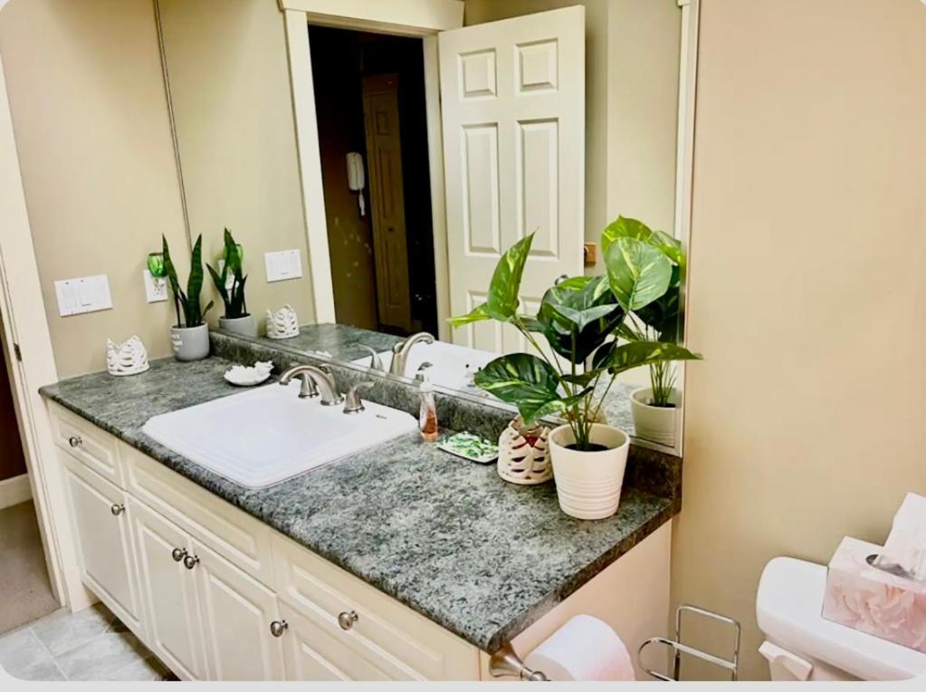 Homestay Spacious & Comfortable, Private Queen & Bath In West Cloverdale
