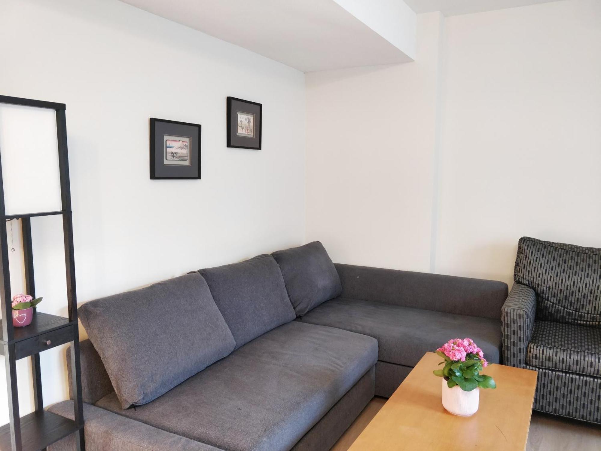 4br Basement Near Port Mann Bridge Villa
