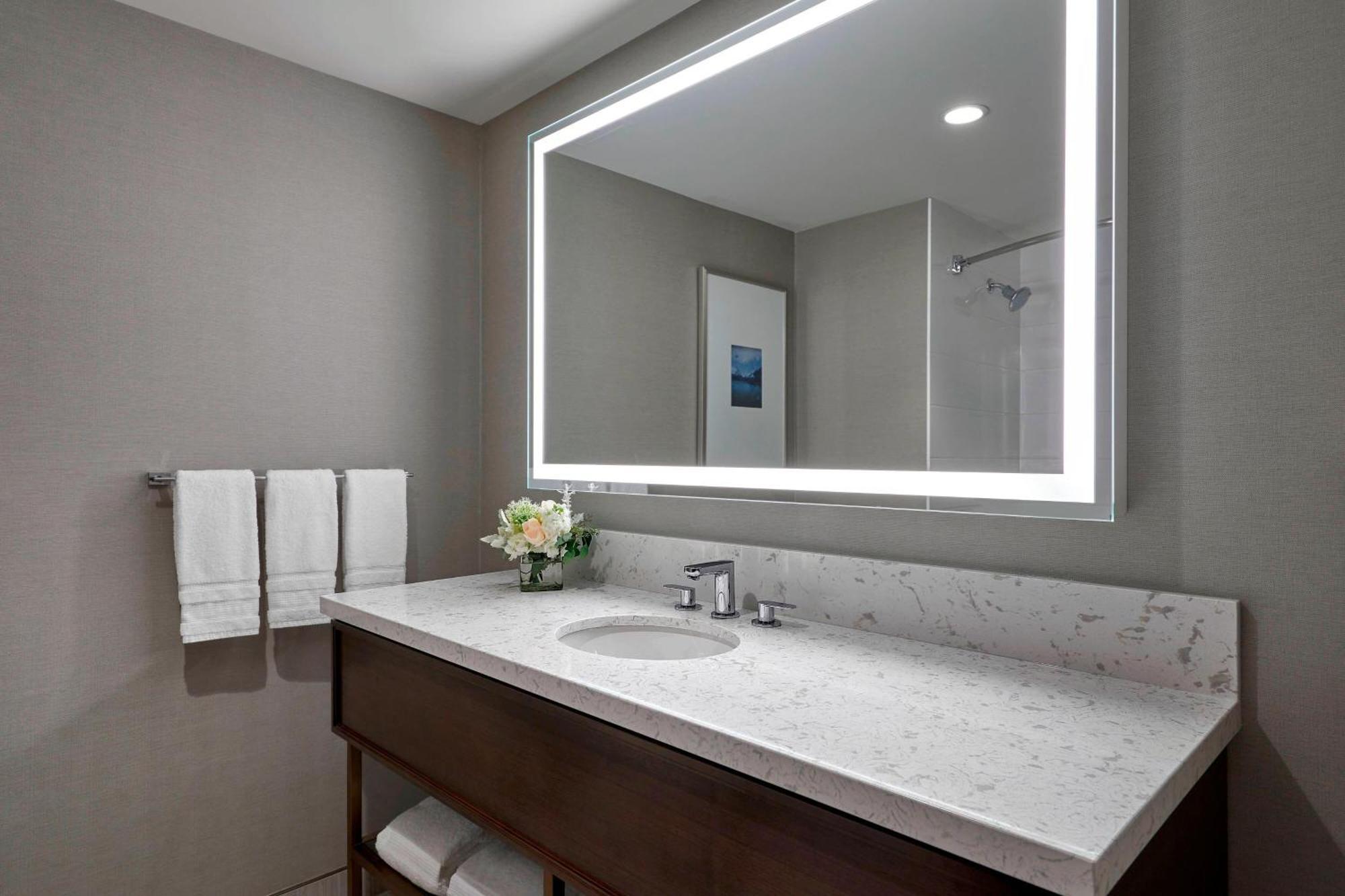 Sheraton Vancouver Guildford Hotel 4*