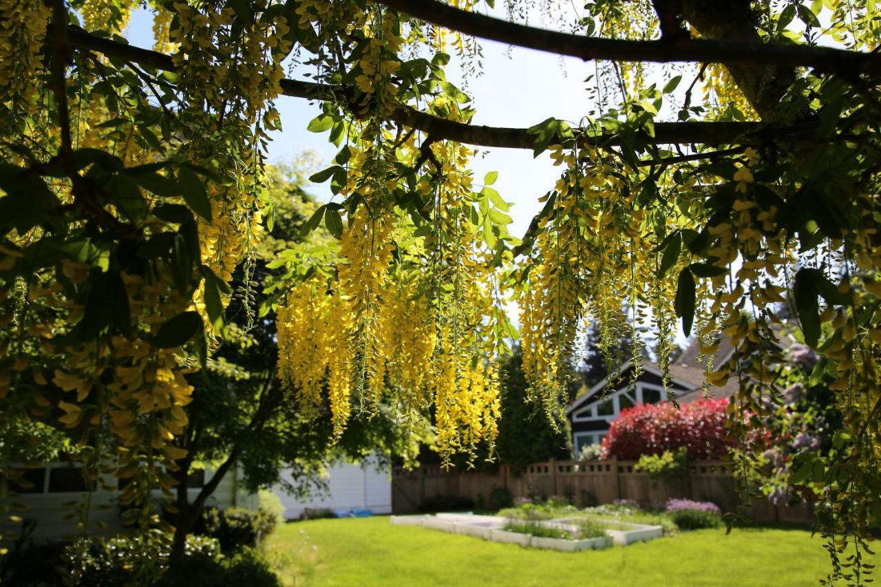 Elegant Vacation House Surrey