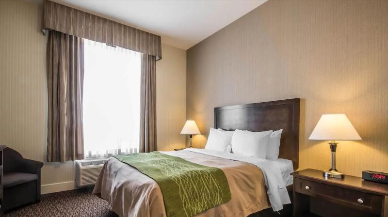 Hotel Comfort & 3*